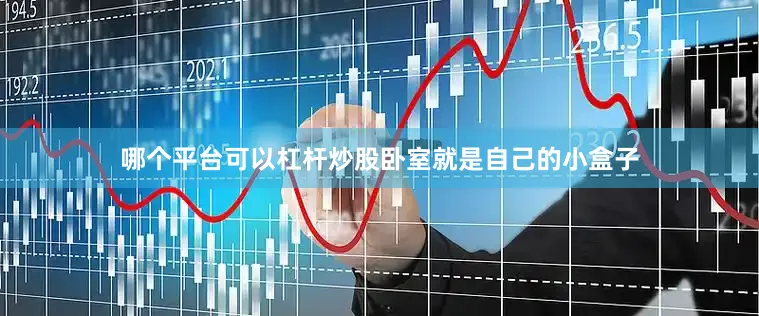 哪个平台可以杠杆炒股卧室就是自己的小盒子
