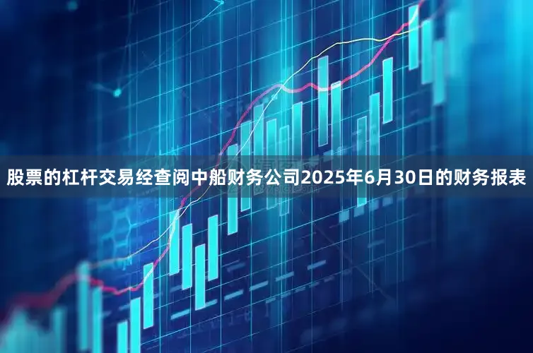 股票的杠杆交易经查阅中船财务公司2025年6月30日的财务报表