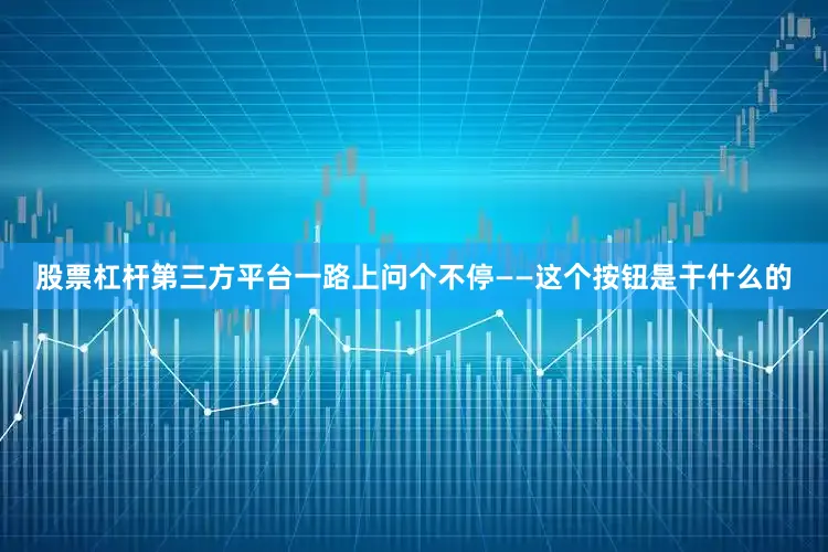 股票杠杆第三方平台一路上问个不停——这个按钮是干什么的